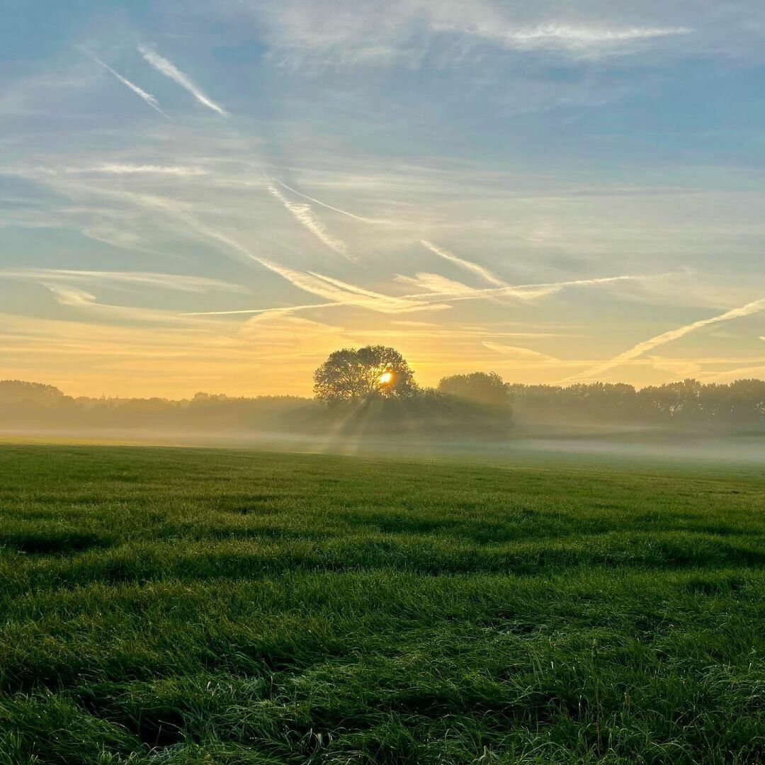 Misty morning